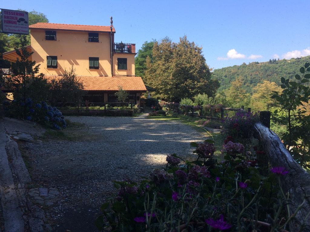 La Taverna Del Nonno *